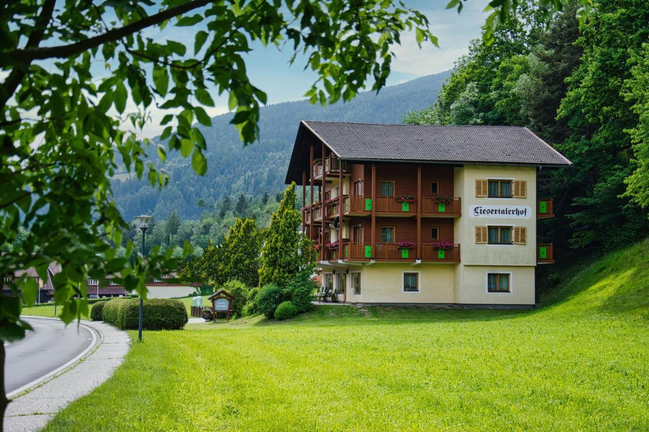 Pension Liesertalerhof Trebesing Dış mekan fotoğraf